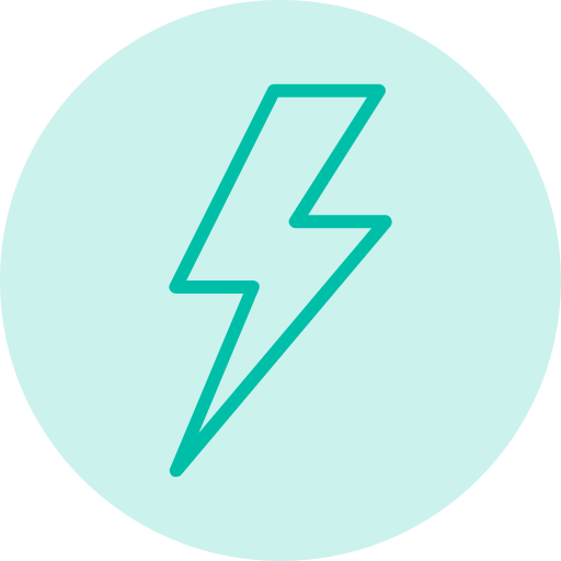 flash (1)