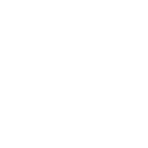 vehicle-inspection