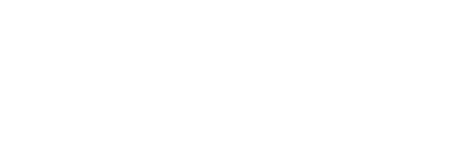 Wisetech Global